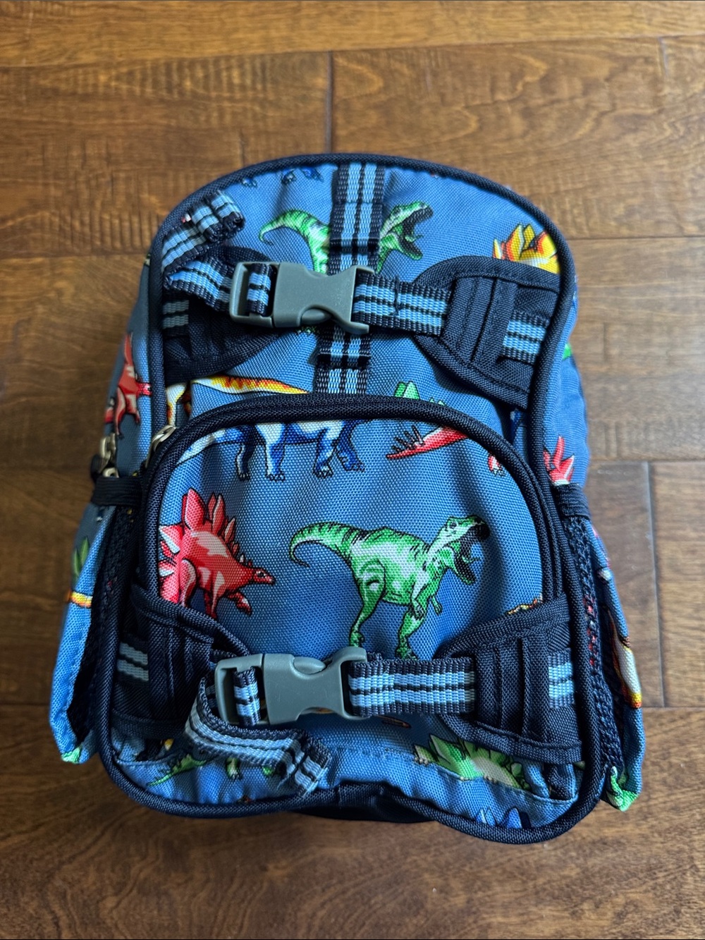 Pottery Barn Kids Blue Dinosaur Print Mini Backpack